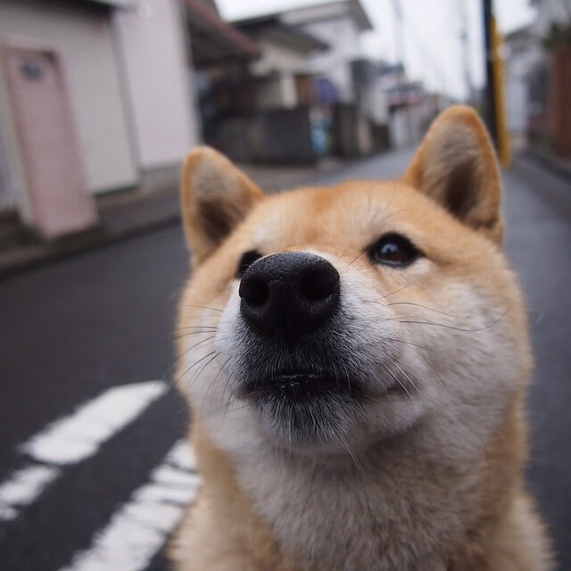 乐鱼电竞-青少年体育竞技发展与人格形成关系研究,体育与青少年的品格发展