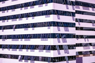 leyu乐鱼在线登录入口-高校体育赛事风险预警体系建设与管理实践,体育赛事风险及防范措施