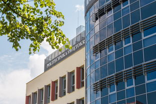 leyu乐鱼在线登录入口-高校体育赛事风险预警体系建设与管理实践,体育赛事风险及防范措施