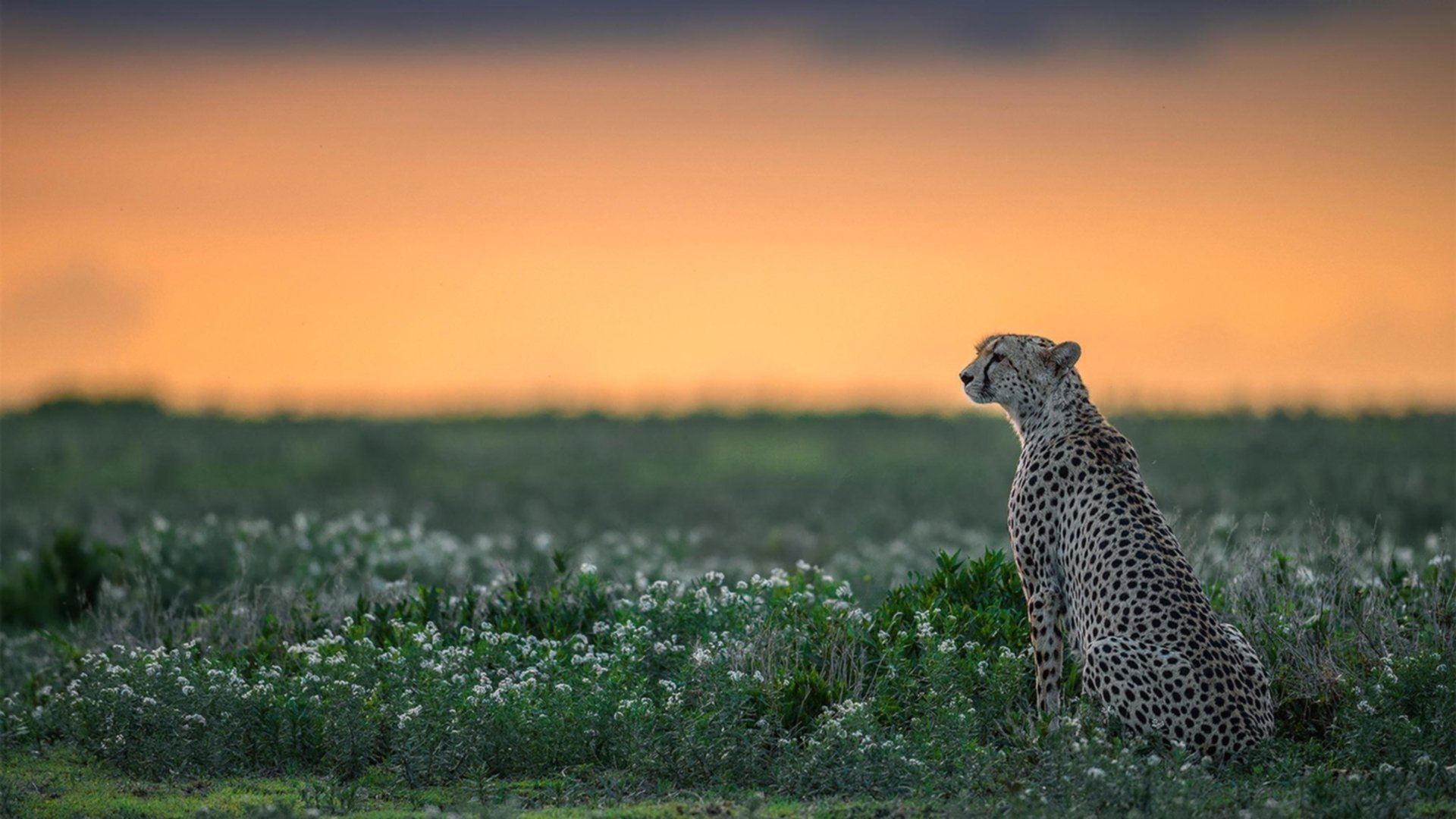 leyu乐鱼体育综合-控球断点处理是否成为控球型球队关键训练项目,控球技巧