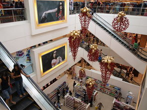 乐鱼电竞-迈向未来：Chinese Taipei团队在国际赛场的崭新发展，chinese of taipei