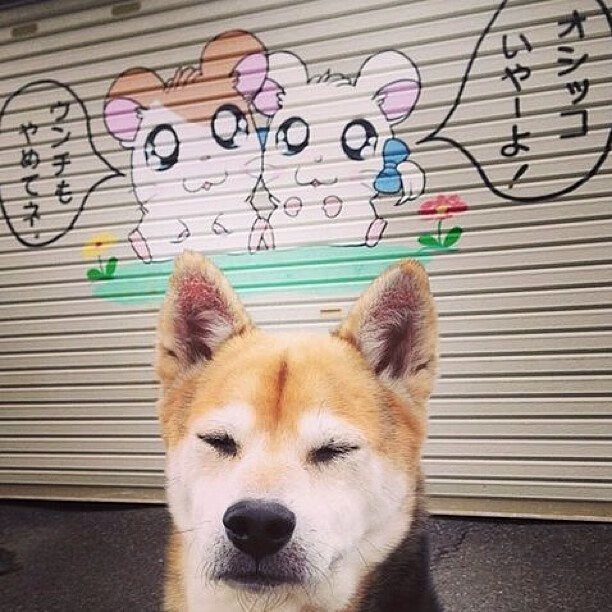 乐鱼体育登录-锋线传球成功率是否直接影响中后场压上意愿,锋线球员是什么意思