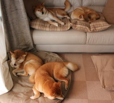 LEYU乐鱼体育官方网站-CBA球队加强康复管理引进理疗师团队保障健康恢复,cba康复师招聘