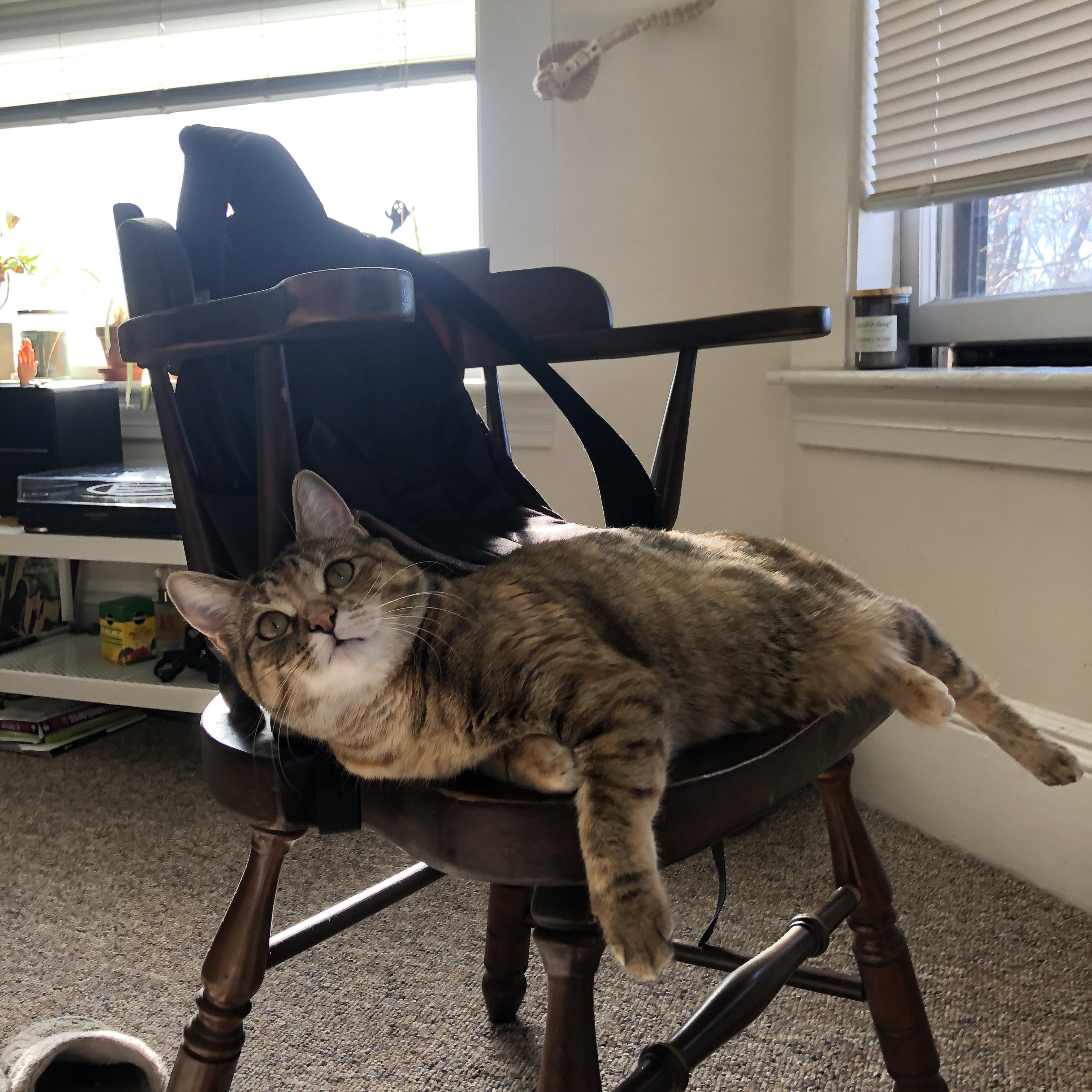 APP下载 LY Sports-中锋与边位配合默契,多次完成快攻得分,中锋和边锋谁更容易进球