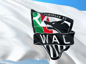 leyu.com-中国足球比赛中球员语言沟通与默契形成过程，足球运动员语言